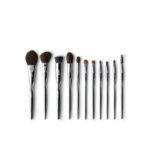 MSQ Set of Brush